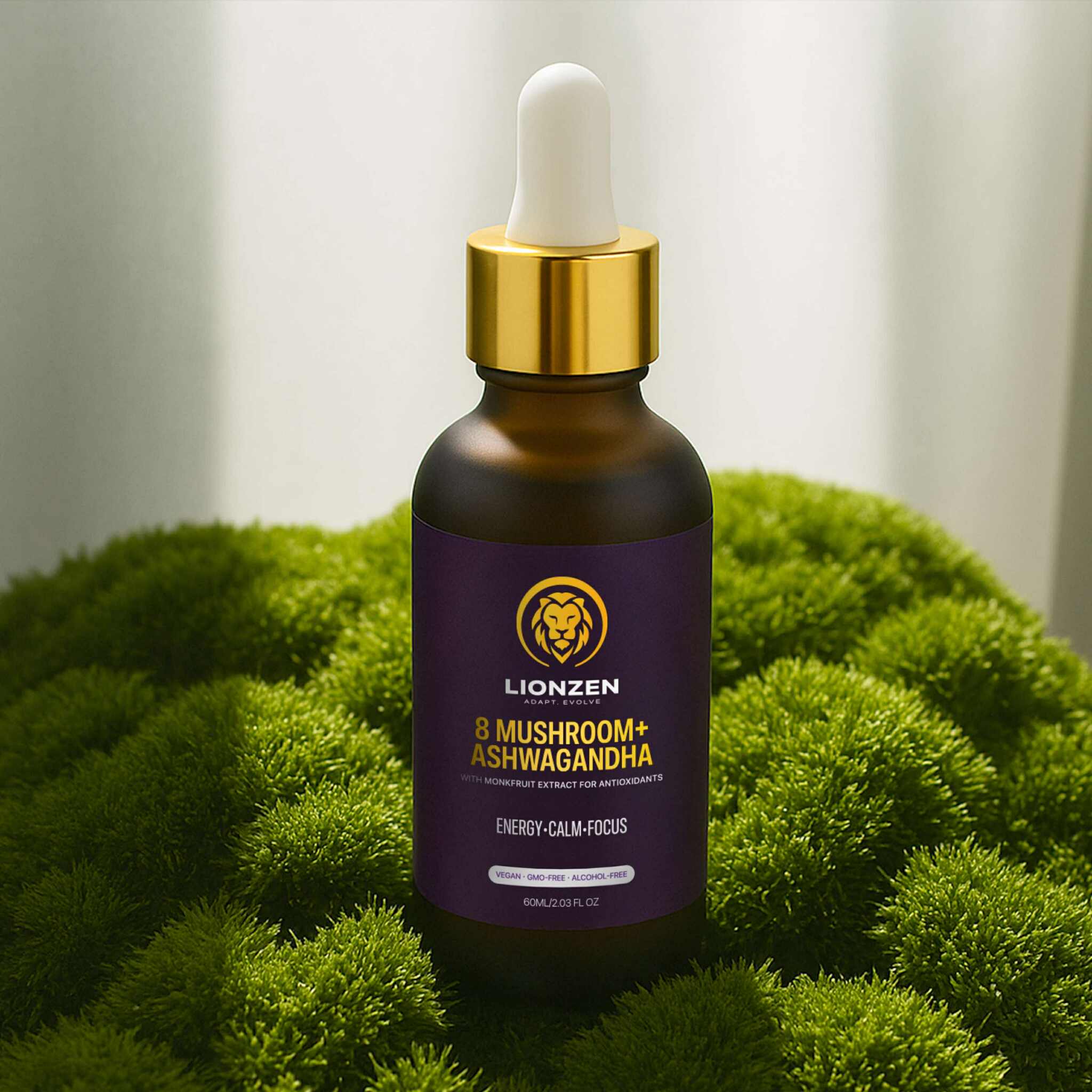 Brain Builder Meets The Energy Igniter