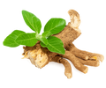 ASHWAGANDHA Ingredient