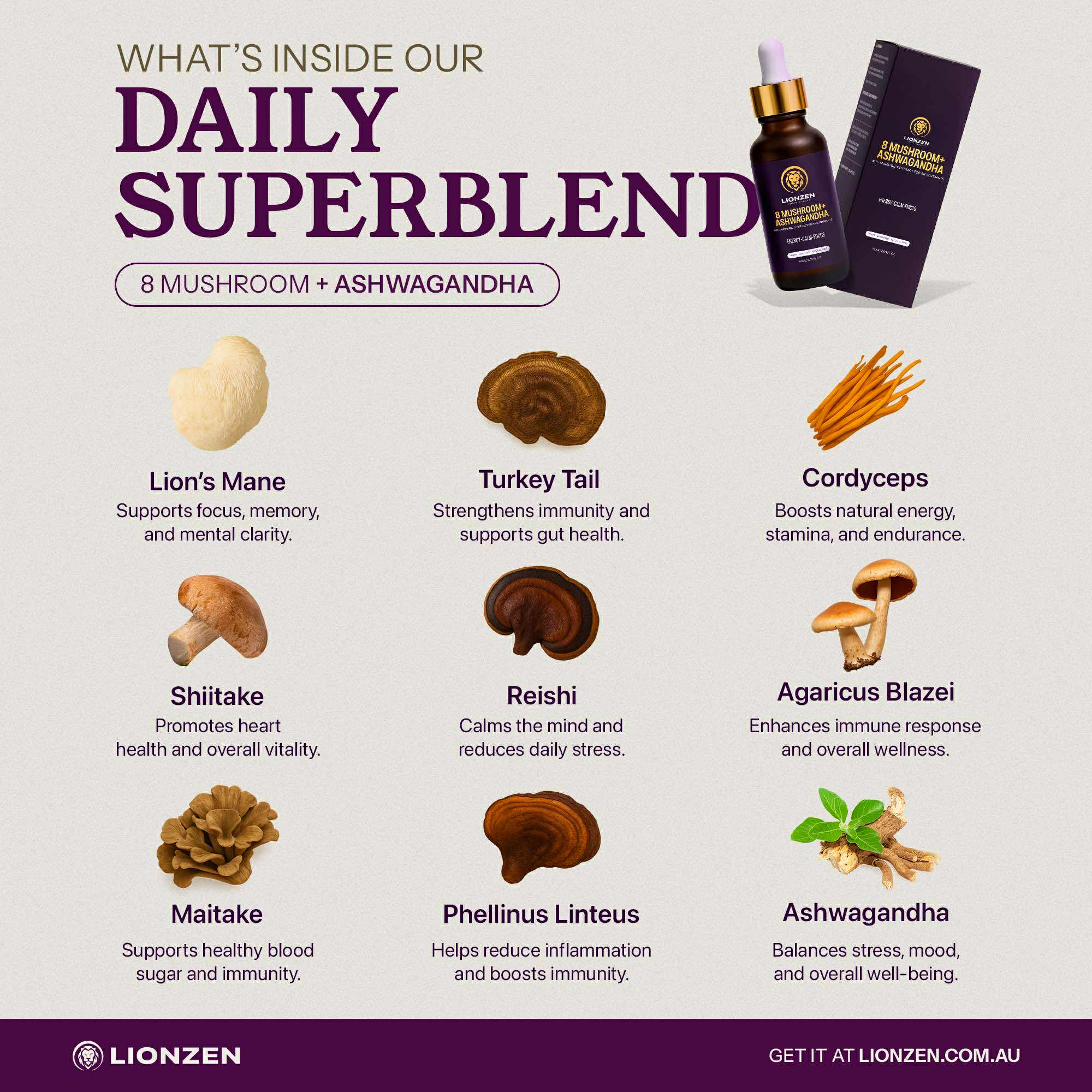 LionZen – 8 Mushroom & Ashwagandha Root 60ml Tincture