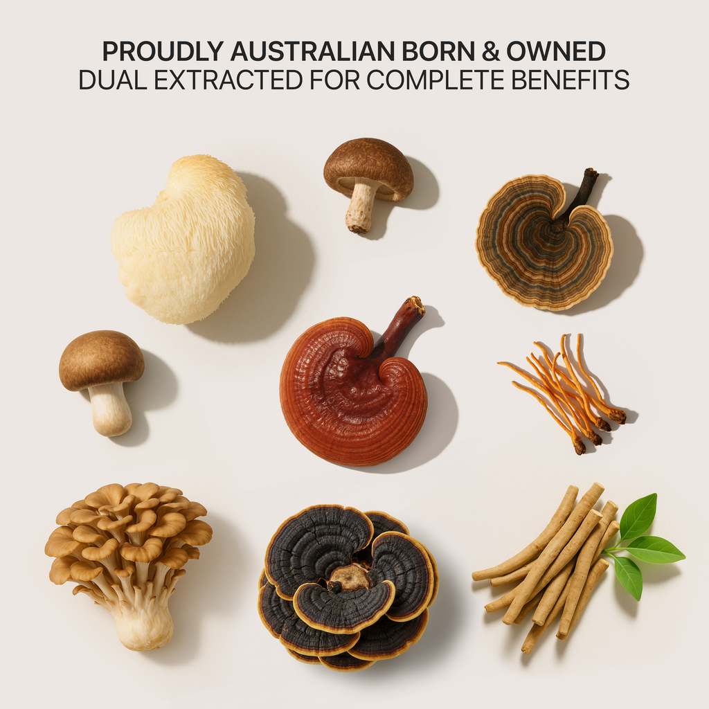 LionZen adaptogenic tincture featuring Ashwagandha, Cordyceps and Lions Mane to support focus, stress balance and performance