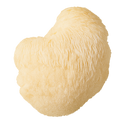 LION'S MANE Ingredient